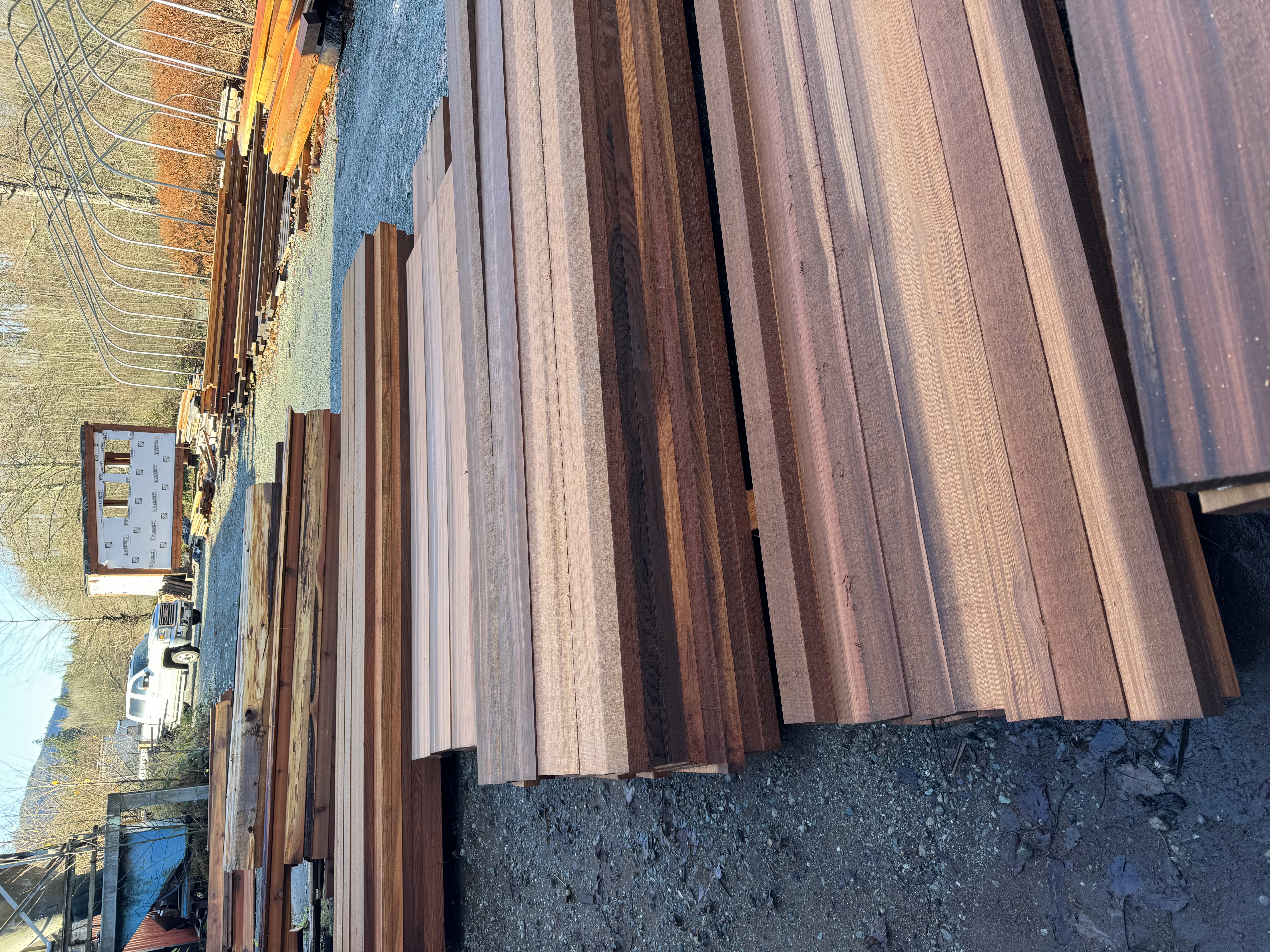 Western Red Cedar siding boards at Washington Timber Company mill yard