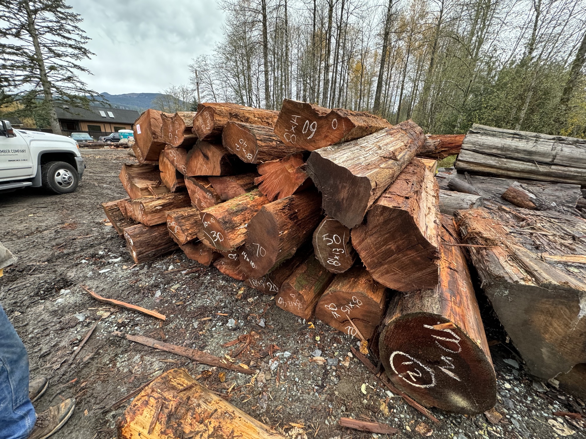 Douglas Fir logs with chalk-marked cut dimensions