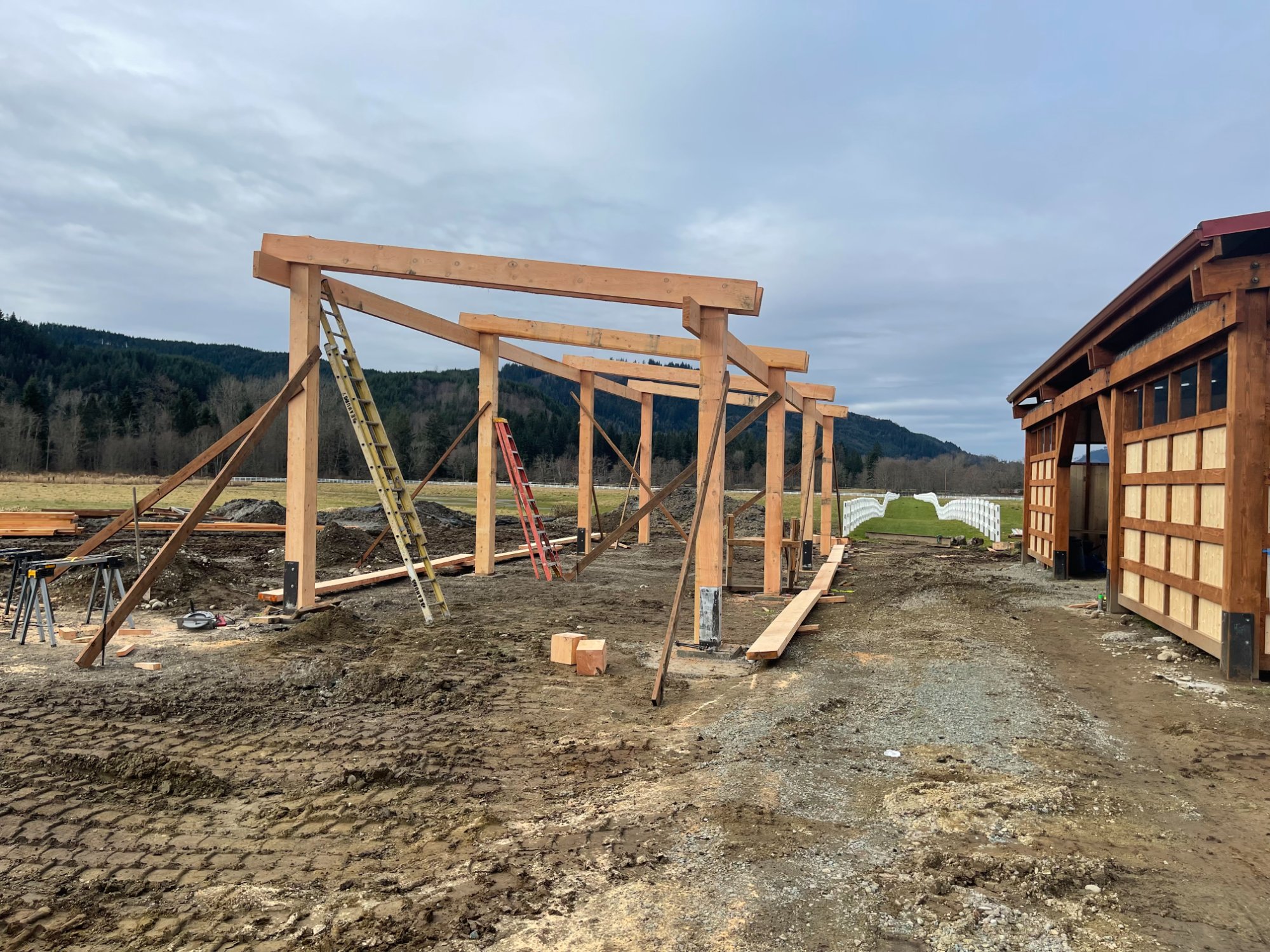 Rough Cut Timber Inventory