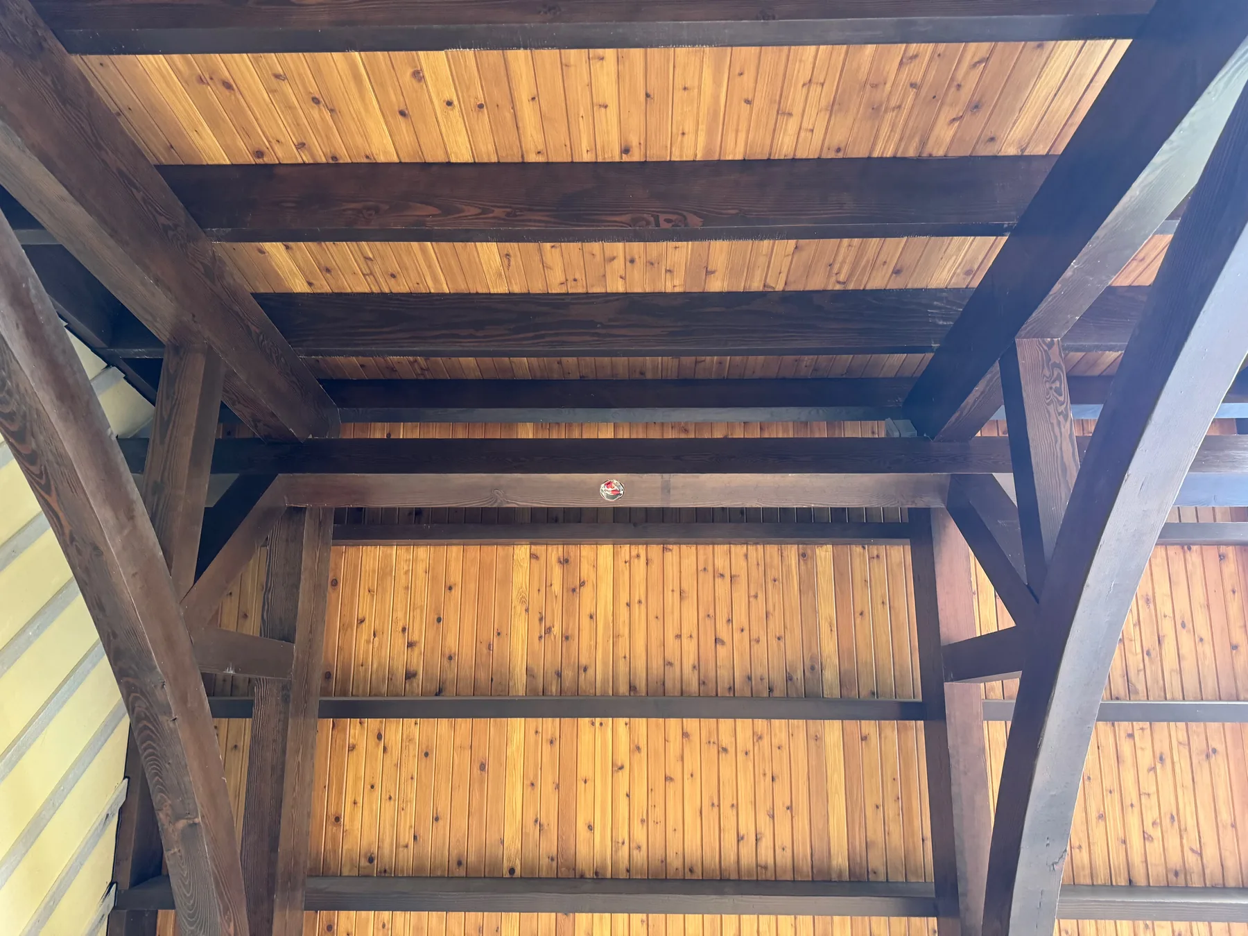 Underside of a cedar pergola showing stained beams and rafters over tongue and groove decking